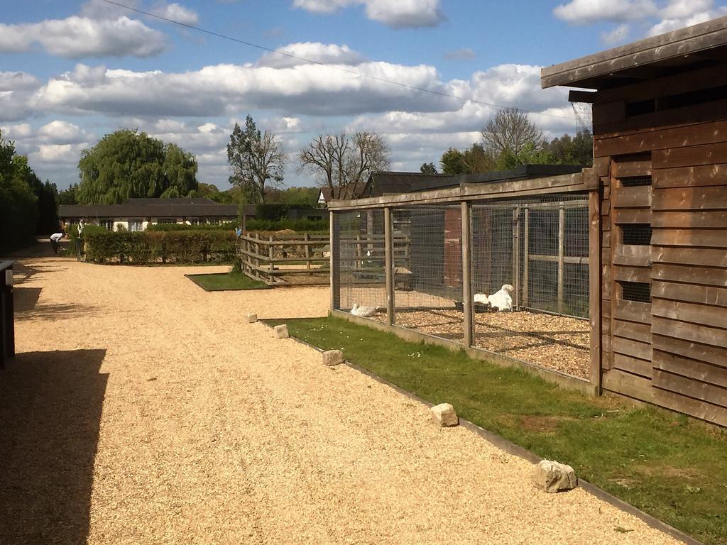 Willow Court Farm Studio: Family-Friendly Stay Near Legoland & Windsor Exterior photo