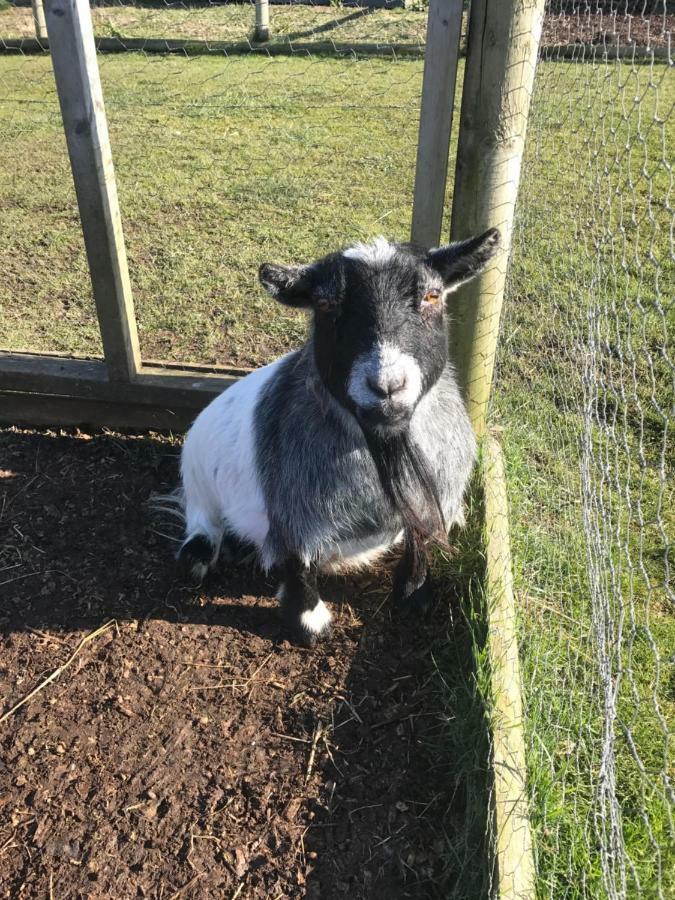 Willow Court Farm Studio: Family-Friendly Stay Near Legoland & Windsor Exterior photo